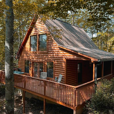 Great Smoky Mountains Cabin!, Secluded, Pet-Kid Friendly! Севьервилл Экстерьер фото